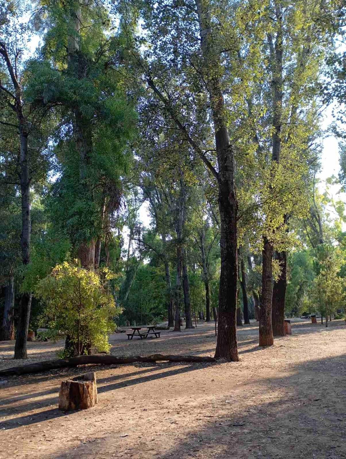 Διαμέρισμα Studiojoy4Stay Στο Χαλάνδρι Atene Esterno foto